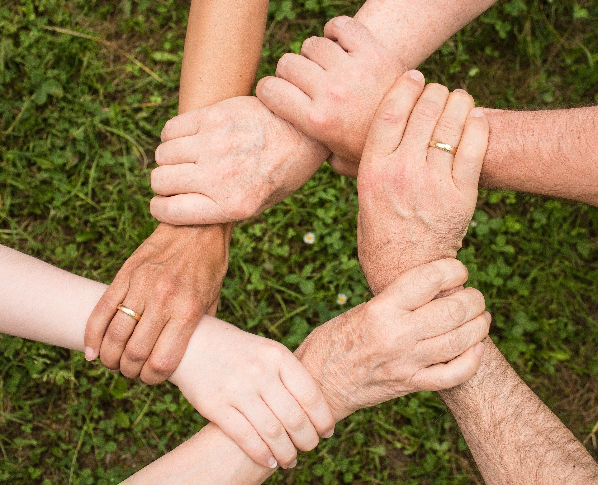 Y Team Hands