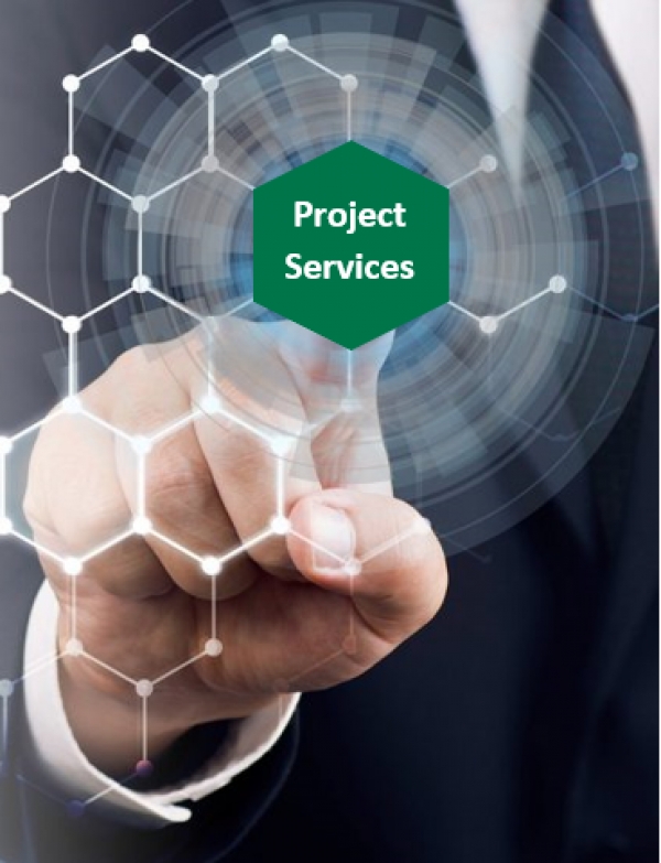 Project Services